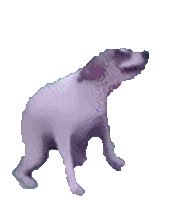 A dancing dog. Changing the slider value changes the delay between animation frames. 