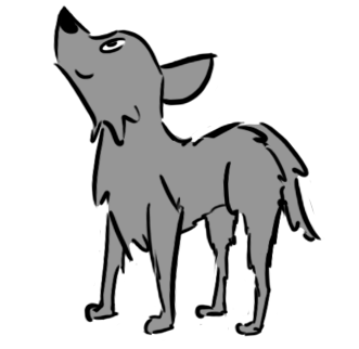 A grey dog looking up